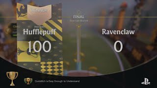 Harry Potter Quidditch Champions  Champion Difficulty Cup  Quidditch is Easy Enough to Understand [upl. by Genesia]