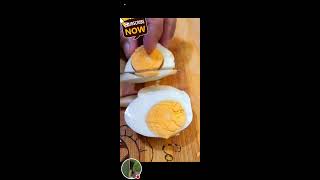 Peeling egg🥚asmr peelingeggasmr satisfiyingfood asmrsounds food egg [upl. by Atterual]