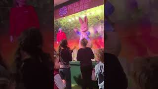 Willows Activity Farm Peter Rabbit Show part 1 [upl. by Godderd]