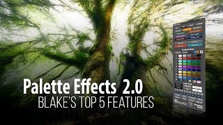 Palette Effects 2 Top Five Features [upl. by Gessner416]