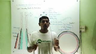 Secondary growth in dicot stem in Malayalam [upl. by Siegel253]