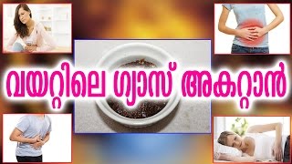 വയറ്റിലെ ഗ്യാസ് അകറ്റാൻ  VAYATTILE GAS AKKATTAN  Malayalam Health Tips [upl. by Earased]