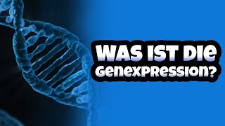 Wie funktioniert die Genexpression  Genregulation bei Eukaryoten amp Prokaryoten  Transkription [upl. by Zsamot]