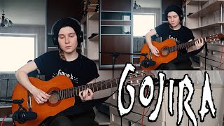 Acoustic Gojira [upl. by Airetahs]