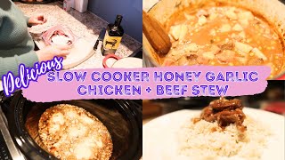 SLOW COOKER HONEY GARLIC CHICKEN  BEEF STEW RECIPES 2023 E2 [upl. by Odnuges158]