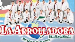 LO MAS NUEVO DE LA ARROLLADORA 20132014 DAME TU MANO [upl. by Tuneberg]