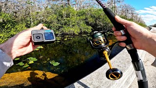 Florida Everglades Roadside Canal Fishing Underwater [upl. by Oswal]