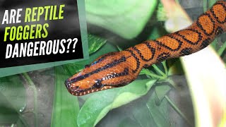 DIY Reptile Fogger AVOID 2 COMMON MISTAKES [upl. by Ankeny]