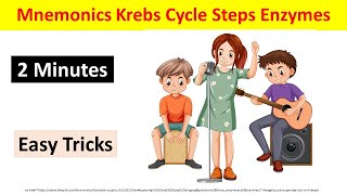 How to Remember Krebs Cycle Easily in 2 Minutes  TCA cycle Mnemonics amp Tricks  BiologyLectures [upl. by Jonati]