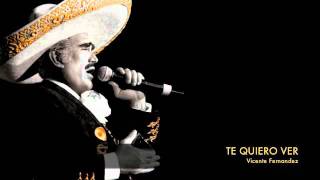 Vicente Fernandez  Te Quiero Ver [upl. by Ztnaj409]