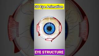 Eye Drawing 3D Structure  Easy Eye Diagram  Easy Eye Structure  Aankh Ka चित्र  shorts anatomy [upl. by Omora206]