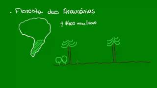 Mata das Araucárias  Ecologia  Biologia [upl. by Krys]