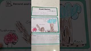 Jane Goodall Science Activity [upl. by Isabelle830]