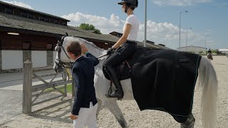 Aloga Equestrian  Pferdedecken für alle von Profis gemacht [upl. by Aber]