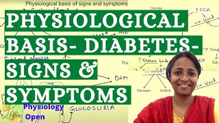 Pathophysiology of diabetes mellitus  Signs and symptoms of diabetes  Endocrine system physiology [upl. by Susejedairam]