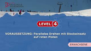 Einteilungsvideos Erwachsene Skischule Neukirchen Level 4 [upl. by Fabio]