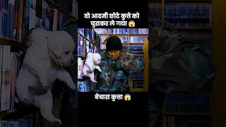 इस प्यारे से कुत्ते के बच्चे को उस आदमी ने चुरा लिया 😱  short anime cartoon dog [upl. by Ursula364]