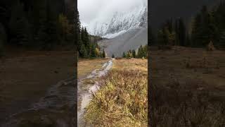 It was a torrential downpour all the way up and then it cleared 😊 kananaskis canada alberta [upl. by Debby997]