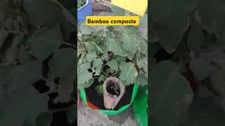 Bamboo composte gardening kichengarden garden kitchingarden backyardgardening agriculture [upl. by Inaffets821]