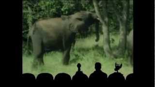 MST3K Crows Best Of Overdrawn At The Memory Bank [upl. by Flss]