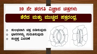 ತೆರೆದ ಮತ್ತು ಮುಚ್ಚಿದ ಪತ್ರರಂಧ್ರಚಿತ್ರ ಬಿಡಿಸುವುದುಭಾಗಕಾರ್ಯವಿಜ್ಞಾನStomataDrawingScienceSSLC [upl. by Torbart]