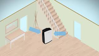 Dehumidifiers How do they work [upl. by Kceb381]