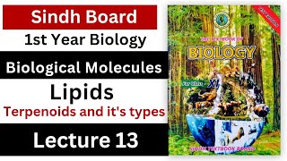 terpenoids  lipids  biological molecules class 11 biology Sindh board new book [upl. by Enamrahs]