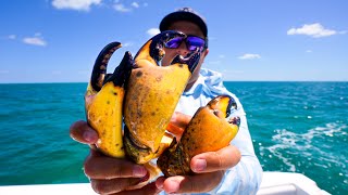 The MOST EXPENSIVE Seafood IN THE WORLD  Stone Crab CatchCleanCook [upl. by Lindberg]