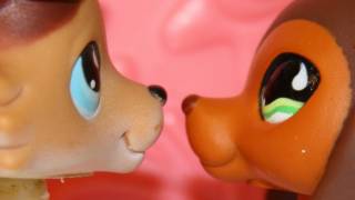 Littlest Pet Shop Popular Episode 6 Moments of Reflection [upl. by Ruhtra]