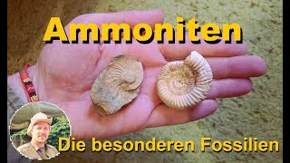 Ammoniten Die besonderen Fossilien [upl. by Olaznog]