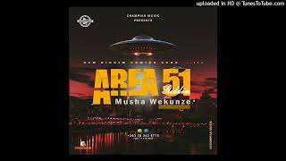 Area 51 Riddim Champianmusic Mushawekunze Sample 263782426775 [upl. by Nyledaj63]