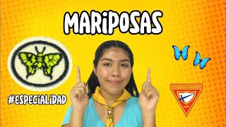 Especialidad MARIPOSAS 🦋  Club de conquistadores🔻 CLUBES ADVENTISTAS  Carper Ministry [upl. by Ujawernalo]