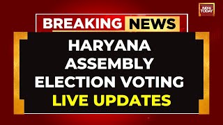 LIVE Haryana Assembly Elections Voting LIVE  MultiCornered Electoral Battle In Haryana [upl. by Royo777]