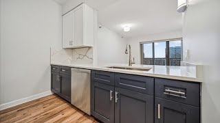 41 E 8th 1606 Chicago IL 60605 for Sale [upl. by Alhahs]