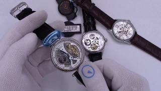 Affordable Skeleton Watches  See What’s Inside [upl. by Kelsi]