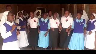 PrePostulants  Sisters of the Holy Rosary Mzuzu Diocese Celebrating [upl. by Merrili]