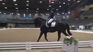 US Dressage Finals 2021 1st Level Musical Freestyle Championship [upl. by Ahkeber844]