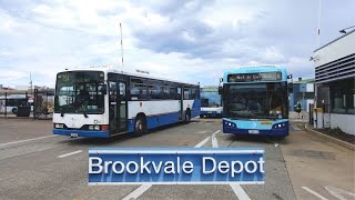 Sydney Bus Vlog 30 Brookvale Bus Depot Timelapse [upl. by Yumuk]