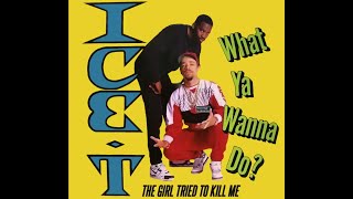 ICE T  What Ya Wanna Do Subtitle Lyrics [upl. by Prady258]