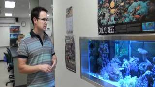 MacEwan instructor brings coral research inland [upl. by Ailimac]