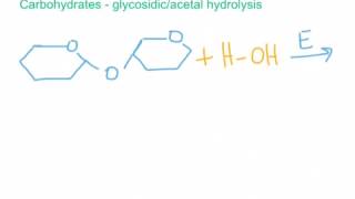 Hydrolysis Reactions for Esters Amides and Glycosidic Bonds [upl. by Aisatnaf272]