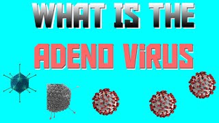 What Is The Adenovirus [upl. by Rawdan]