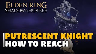 Elden Ring Shadow of the Erdtree DLC How To Reach Putrescent Knight [upl. by Hashim]