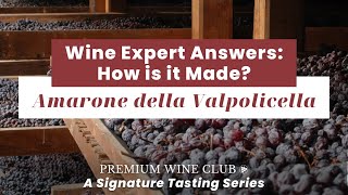 Wine Expert Answers How Amarone della Amarone della Valpolicella is Made  WTSOcom [upl. by Onifur]