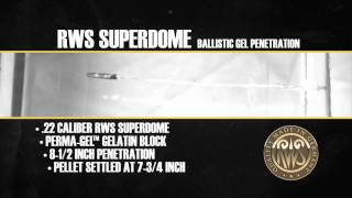 RWS Superdome Pellet  Ballistics Gel Penetration test [upl. by Trautman]