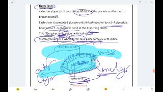 polysaccharides Dr Master [upl. by Bromleigh]