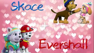 Paw patrol Skace and Evershall love story [upl. by Llovera433]