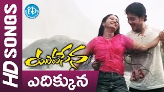 Ye Dikkuna Nuvvunna Video Song  Yuvasena Movie  Sharwanand  Bharath  Jassie Gift  Jayaraj [upl. by Ardyce]