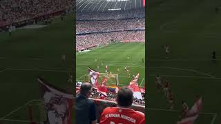 FC Bayern Munchen vs FC Koln 득점 Guerreiro 65 20240413 [upl. by Ahsyek463]