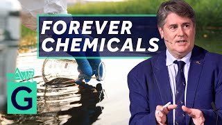 Living With the Forever Chemicals  Dr Ian Mudway [upl. by Raffarty]